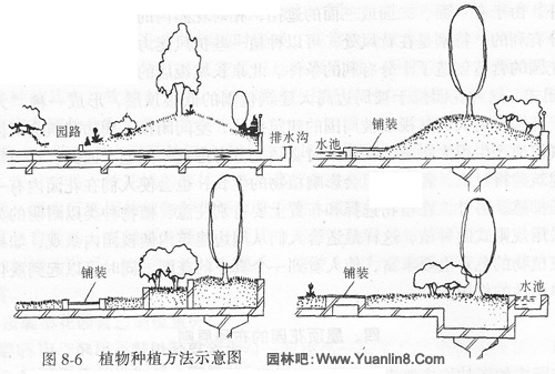 植物种植方法示意图