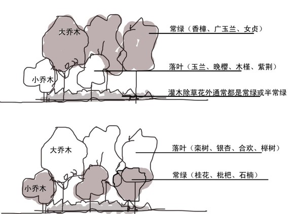 园林植物配置心得总结