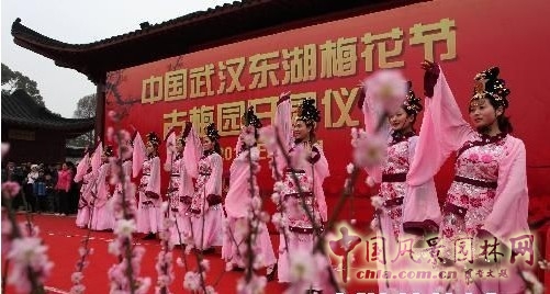 盘点2012年年初各地梅花节