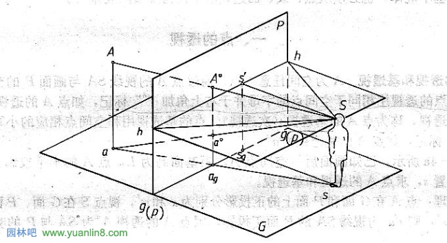 透视作图名词术语
